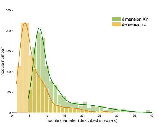 结节半径尺寸分布